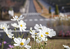 鎌倉霊園写真04